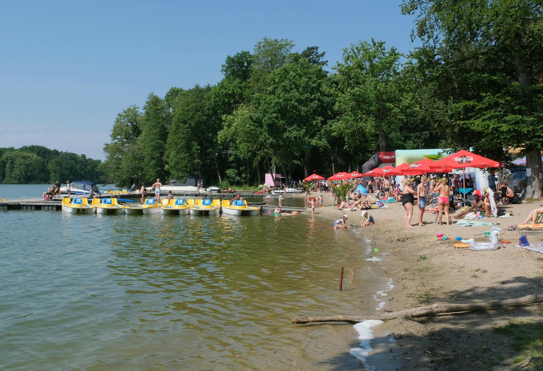 Majówka w Lublińcu – mieszkańcy świętują w parku przy ładnej pogodzie.